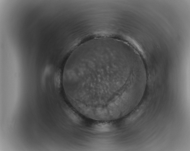 X0000115450065200911121202