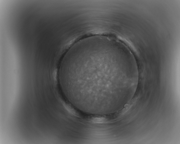 X0000115450066200911121202