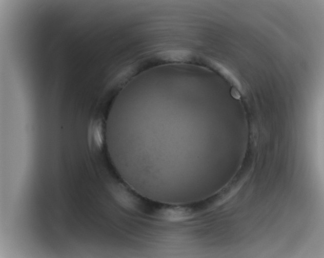 X0000115450069200911121202