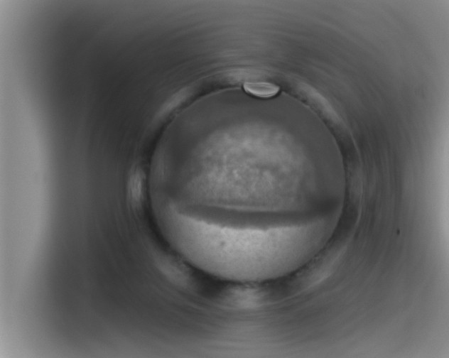 X0000115450071200911121202