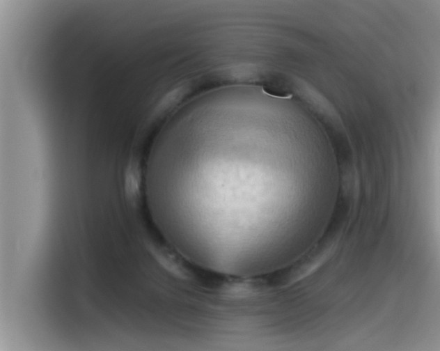 X0000115450072200911121202