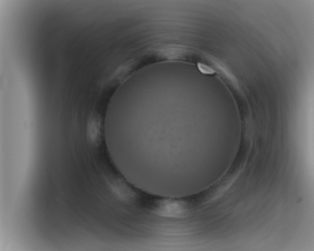 X0000115450073200911121202