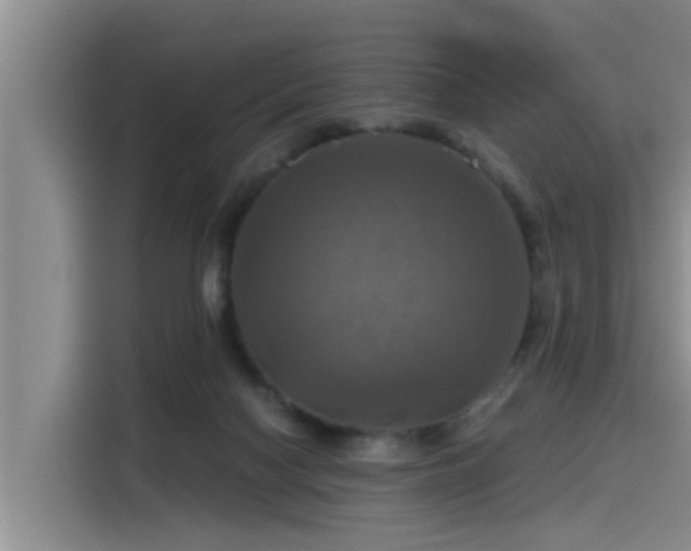 X0000115450074200911121202