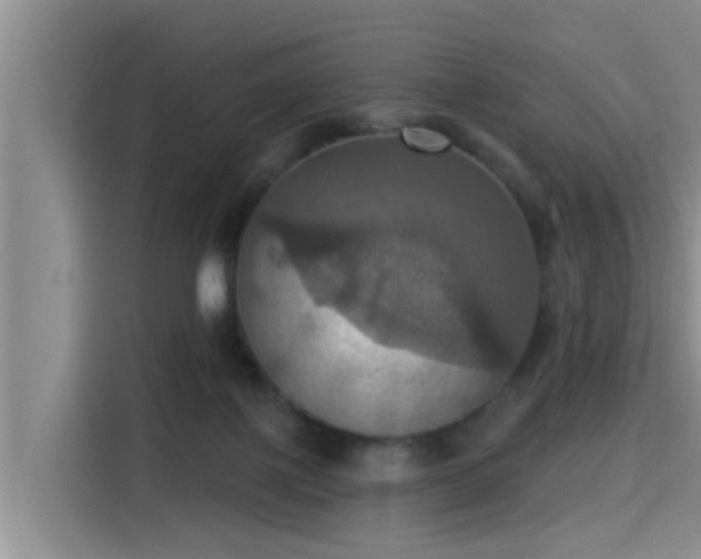 X0000115450075200911121202