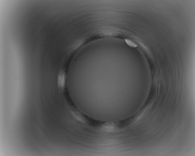 X0000115450076200911121202