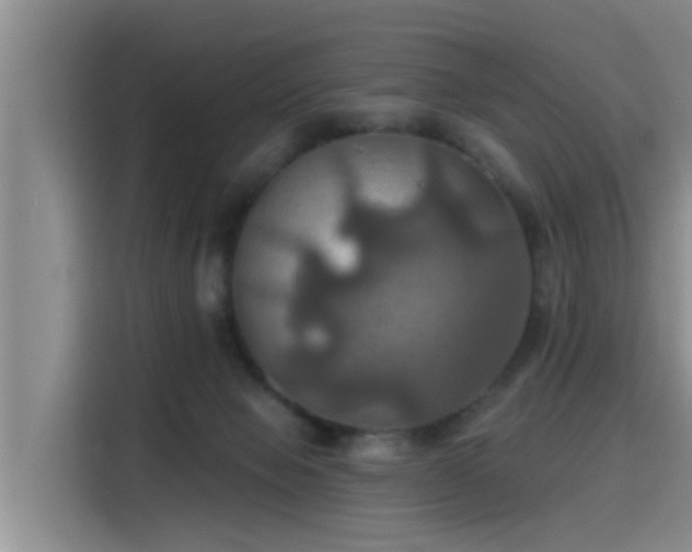 X0000115450077200911121202