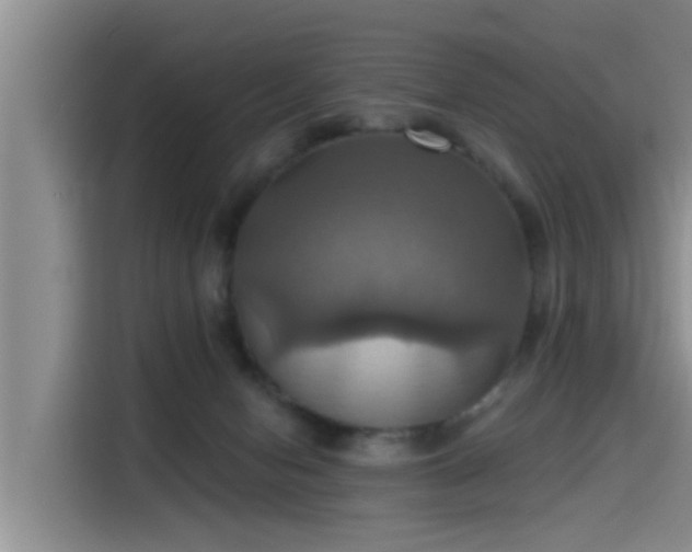 X0000115450078200911121202