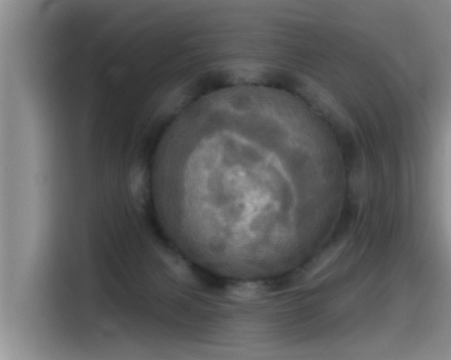 X0000115450079200911121202