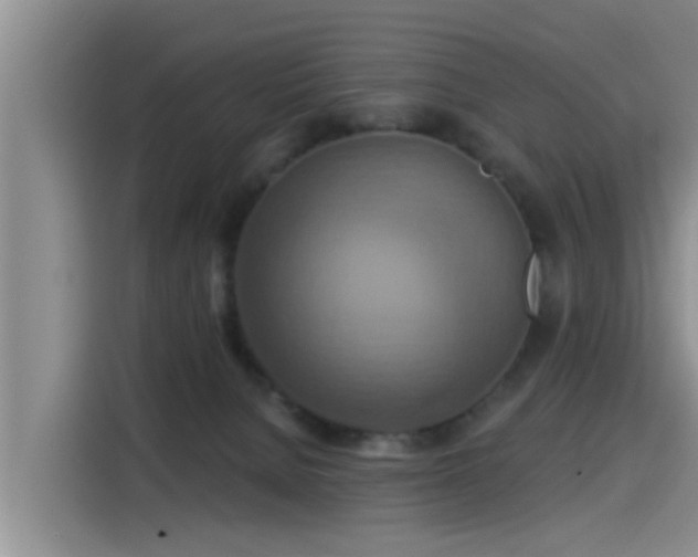 X0000115450080200911121202