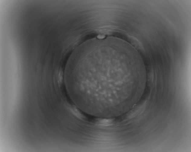 X0000115450081200911121202