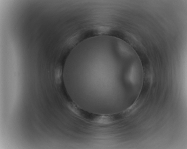 X0000115450082200911121202