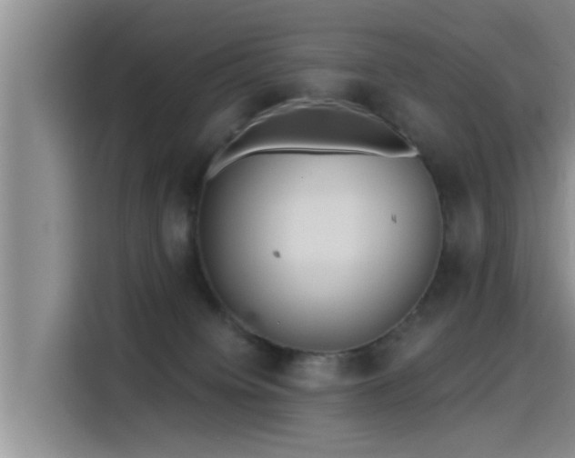 X0000115450084200911121202