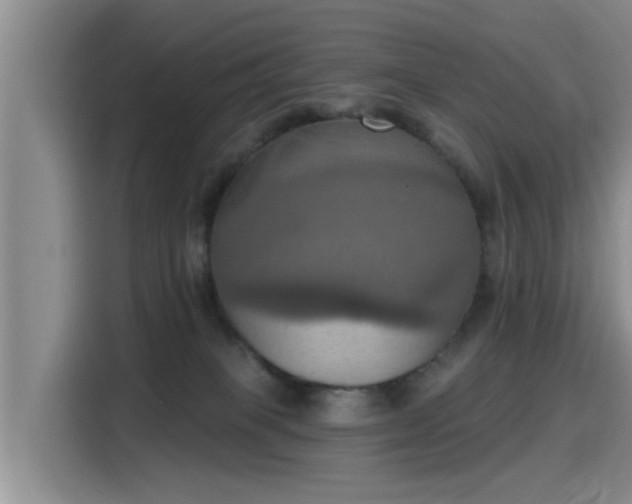 X0000115450085200911121202