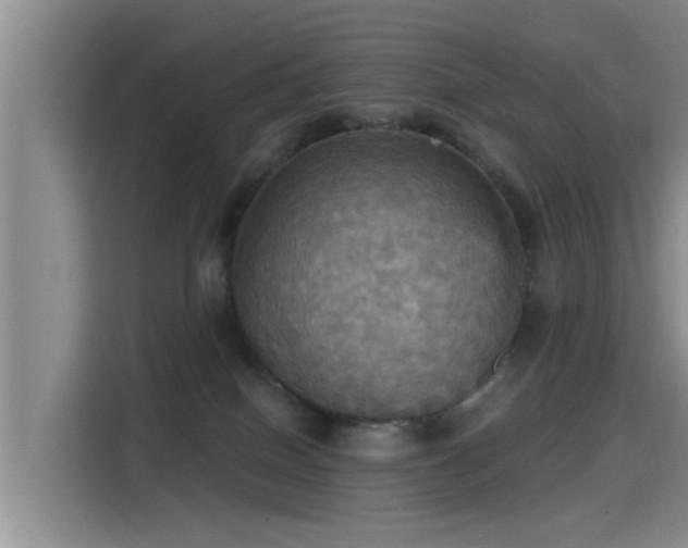 X0000115450086200911121202