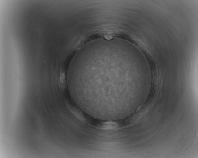 X0000115450087200911121202