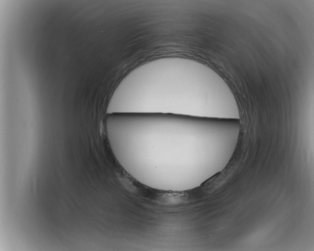 X0000115450089200911121202