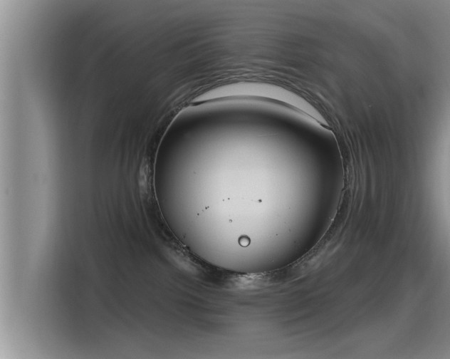 X0000115450092200911121202