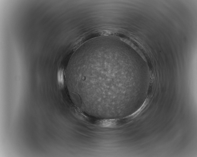 X0000115450094200911121202