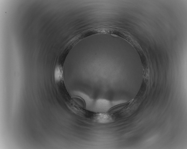 X0000115450095200911121202