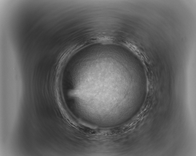 X0000115450097200911121202