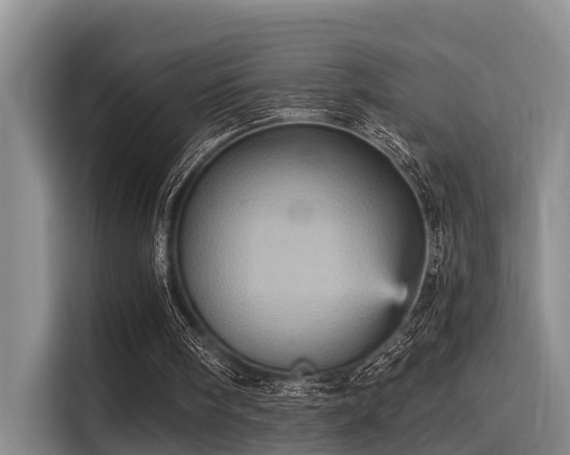 X0000115450098200911121202