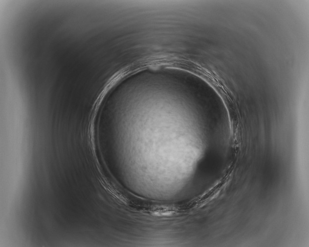 X0000115450099200911121202