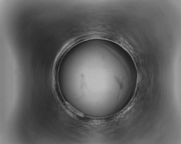 X0000115450101200911121202