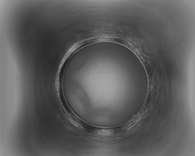 X0000115450102200911121202