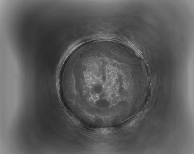 X0000115450103200911121202