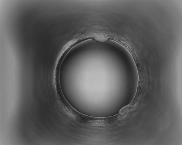 X0000115450104200911121202