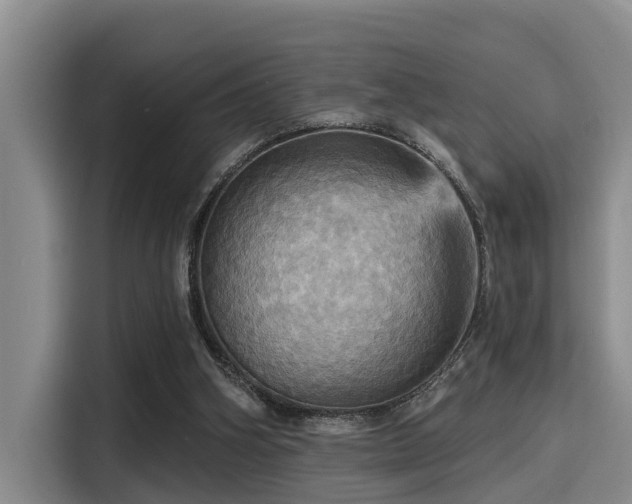 X0000115450106200911121202