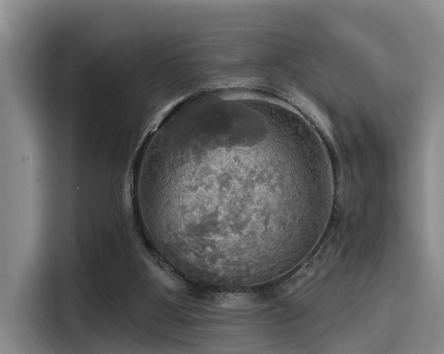 X0000115450107200911121202