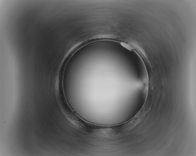 X0000115450108200911121202