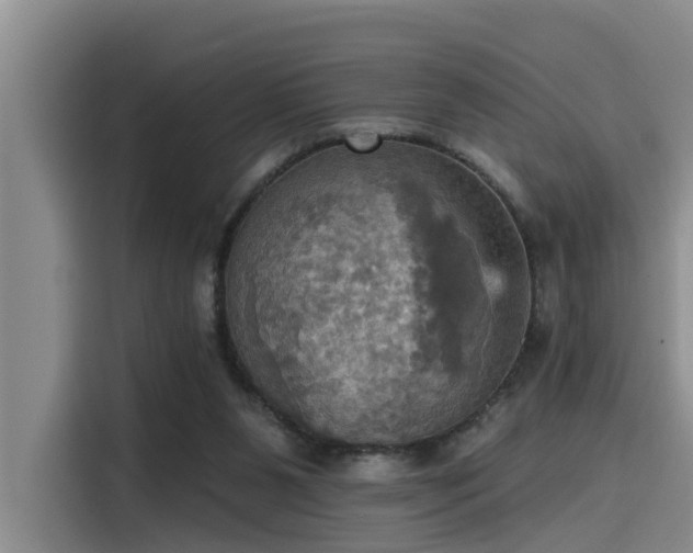 X0000115450111200911121201