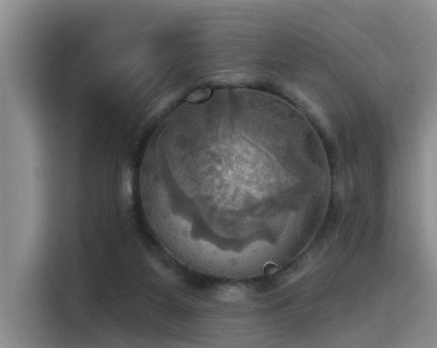 X0000115450115200911121201