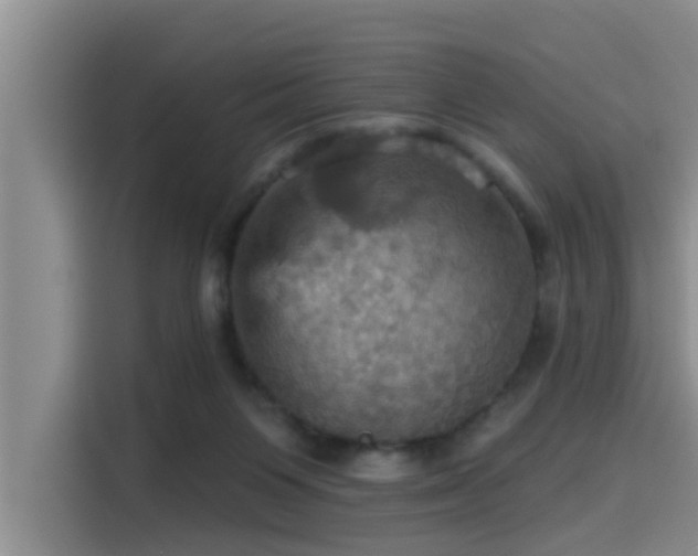 X0000115450119200911121201