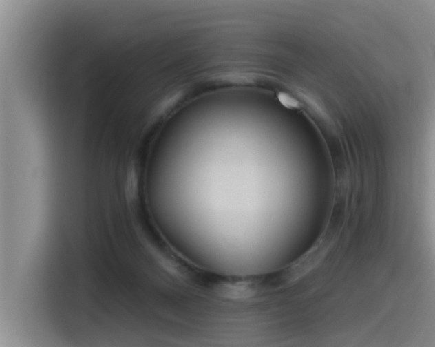 X0000115450120200911121201