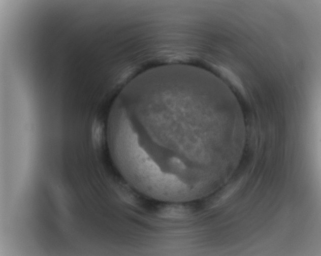 X0000115450123200911121201