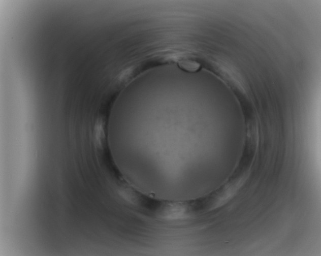 X0000115450127200911121201