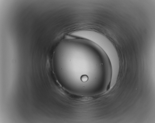 X0000115450128200911121201