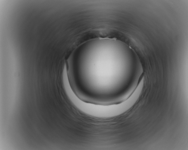 X0000115450129200911121201