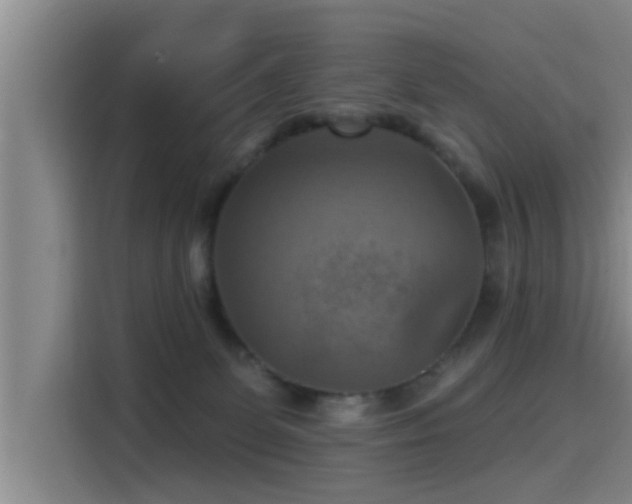 X0000115450131200911121201