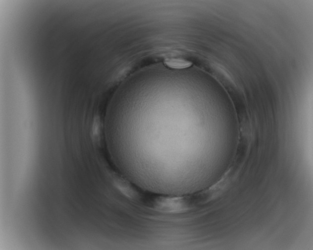 X0000115450132200911121201