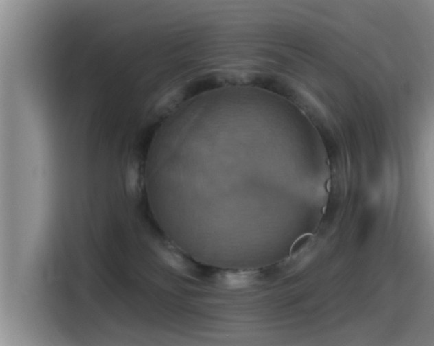 X0000115450134200911121201