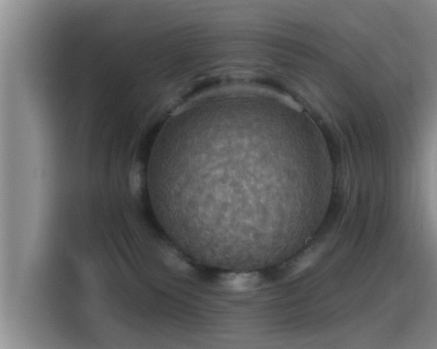 X0000115450135200911121201