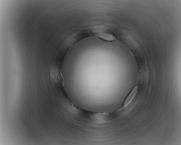 X0000115450136200911121201