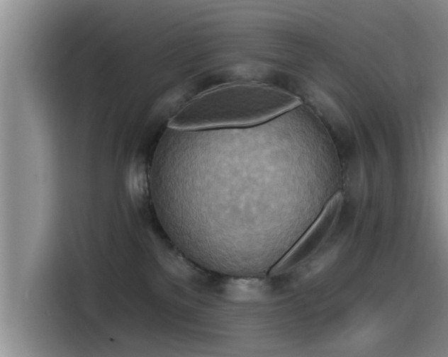 X0000115450137200911121201