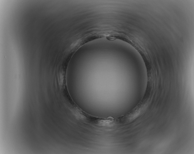 X0000115450139200911121201