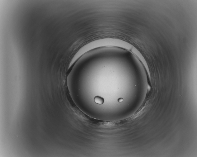 X0000115450140200911121201