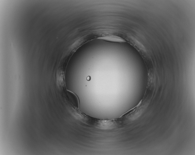 X0000115450141200911121201